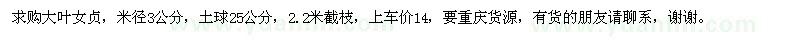 求購大葉女貞