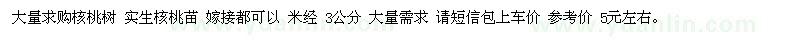 求購核桃苗