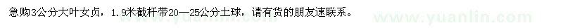 求購3公分大葉女貞