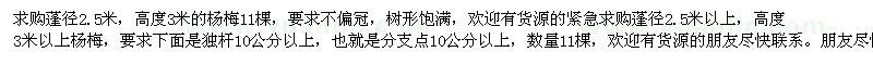 求購蓬徑2.5米楊梅11棵