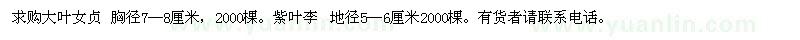 求購大葉女貞,紫葉李