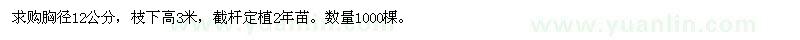求購法桐