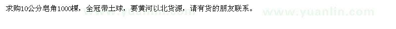 求購10公分皂角1000棵