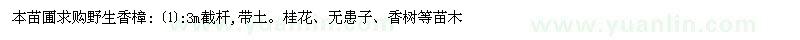 求購野生香樟、桂花、無患子、香樹等苗木