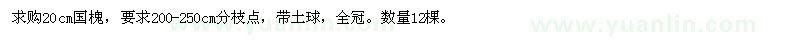 求購20cm國槐