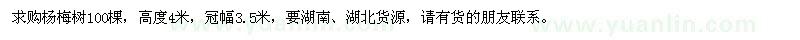 求購楊梅樹100棵