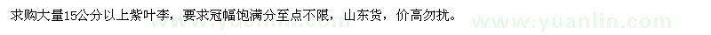 求購15以上紫葉李