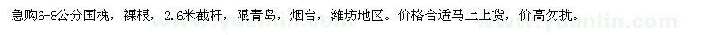 求購6-8公分國槐