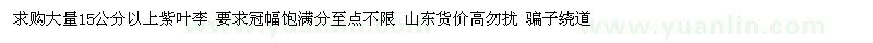 求購15以上紫葉李