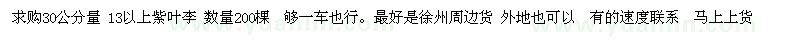 求購30公分量 13以上紫葉李 數量200棵  夠一車也行