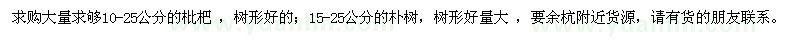 求購(gòu)10-25公分枇杷，15-25公分樸樹(shù)