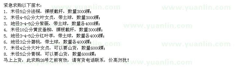 求購法桐、大葉女貞、紫薇、黃皮垂柳等苗木
