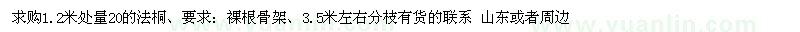 求購1.2米處量20法桐