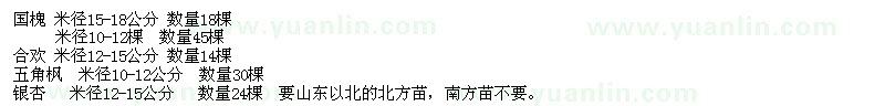 求購(gòu)國(guó)槐、合歡、五角楓、銀杏
