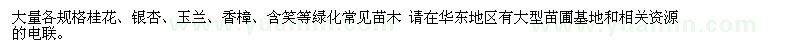 求購大量各規(guī)格桂花、銀杏、玉蘭、香樟、含笑等綠化常見苗木