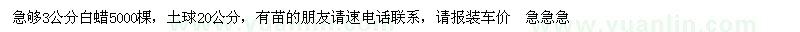 求購白蠟，急