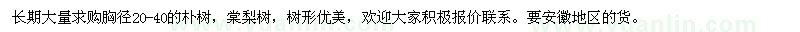 求購樸樹、棠梨樹