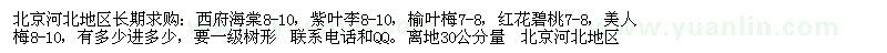 求購(gòu)西府海棠、紫葉李、榆葉梅等