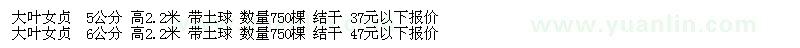 求購(gòu)大葉女貞5公分 6公分