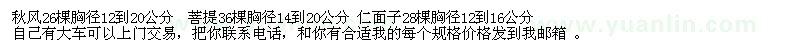 求購秋風(fēng)，菩提 仁面仔