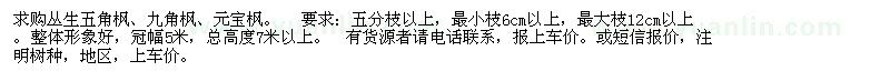 求購(gòu)叢生五角楓元寶楓
