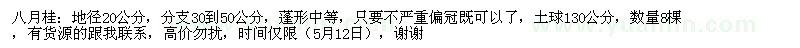 求購地徑20公分八月桂