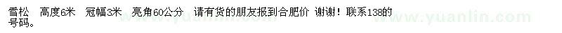 求購高6米雪松