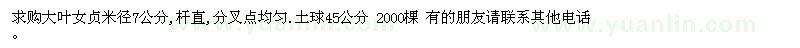 求購大葉女貞