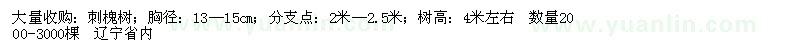 求購刺槐樹