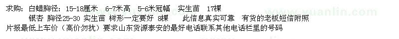 求購白蠟 銀杏