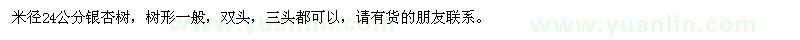 求購米徑24公分銀杏樹