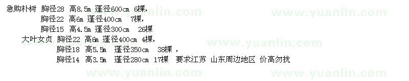 求購(gòu)樸樹(shù)、大葉女貞