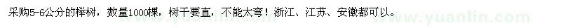 求購5-6公分的櫸樹