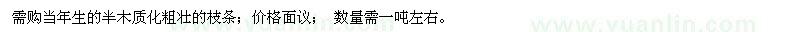求購龍腦樟扦插枝條