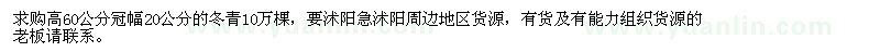 求購(gòu)冠幅20公分的冬青
