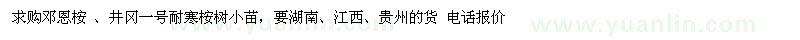 求購(gòu)鄧恩桉 、井岡一號(hào)耐寒桉樹(shù)小苗