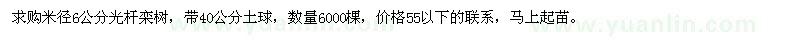 求購(gòu)米徑6公分光桿欒樹