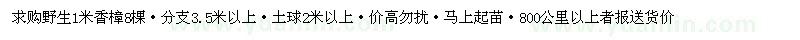 求購野生1米香樟8棵