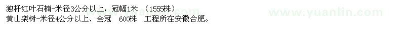 求購獨桿紅葉石楠、黃山欒樹