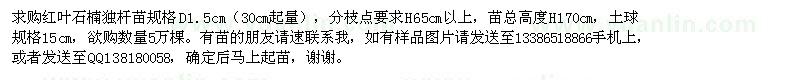 求購紅葉石楠獨桿苗