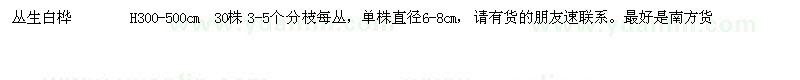 求購叢生白樺