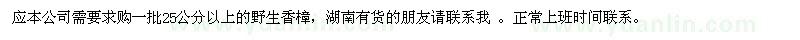 求購25公分以上的野生香樟