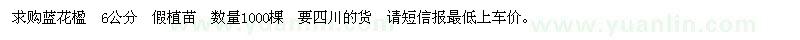 求購(gòu)藍(lán)花楹1000棵