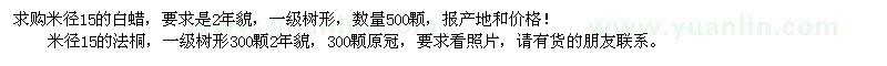 求購米徑15的白蠟、法桐