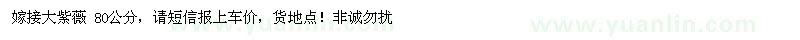 求購80公分嫁接大紫薇 