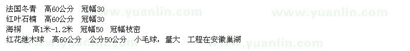 求購法國冬青、紅葉石楠、海桐、紅花繼木球