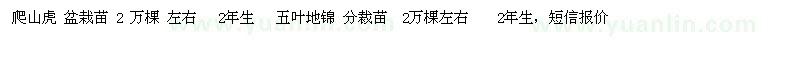 求購(gòu)爬山虎、五葉地錦