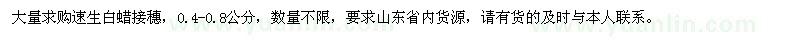 求購大量速生白蠟接穗