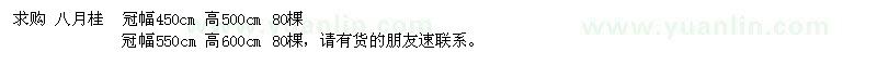 求購(gòu)八月桂160棵
