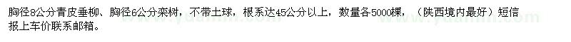 求購(gòu)青皮垂柳、欒樹(shù)